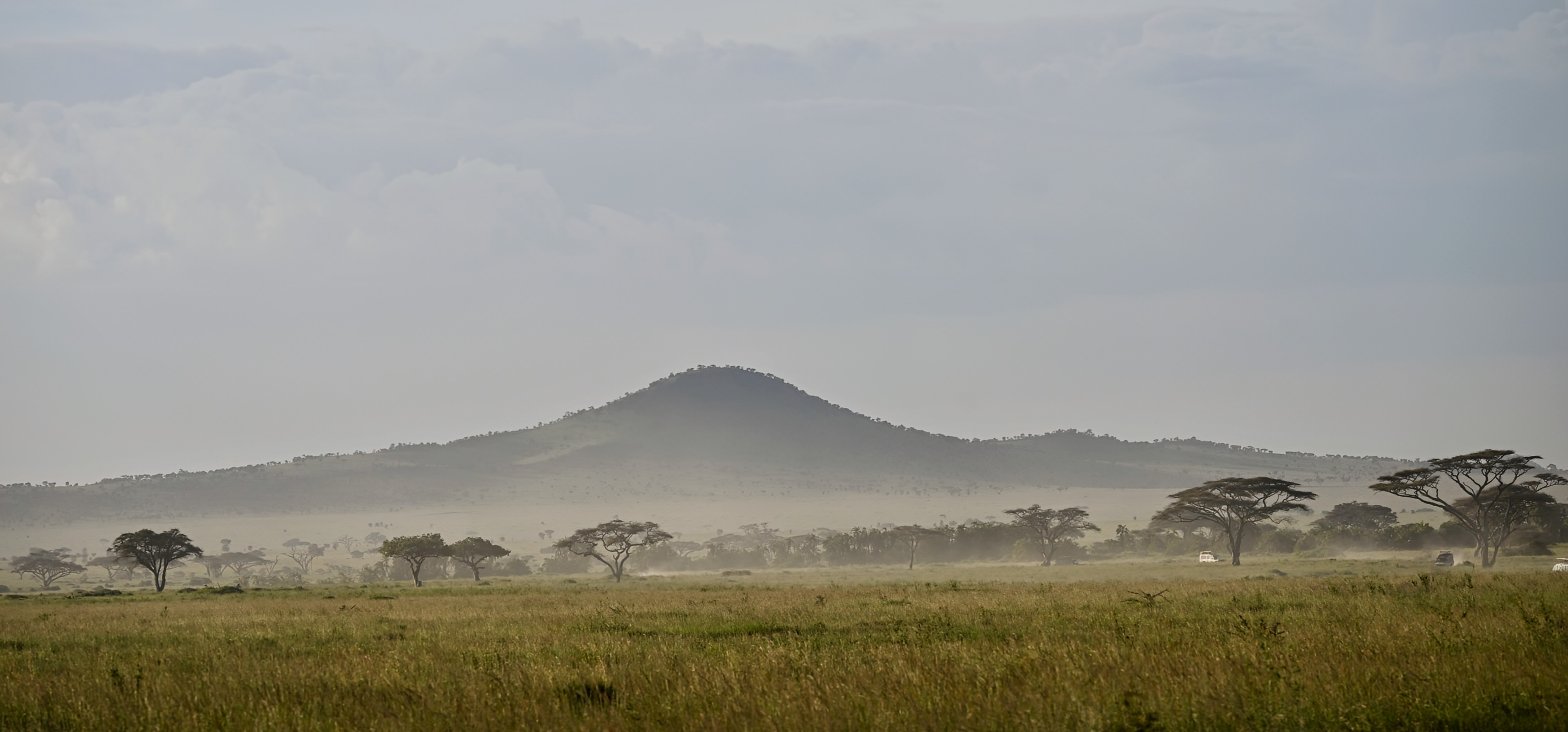 Wild Tanzania: Serengeti to&nbsp;Ngorongoro